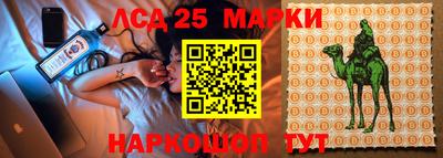 гидропоника Обнинск