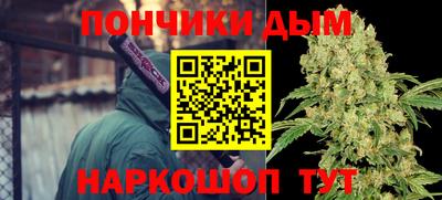 прущие грибы Нягань